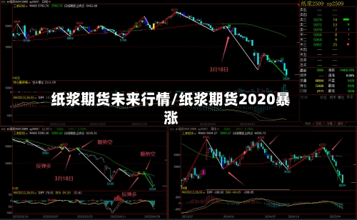 纸浆期货未来行情/纸浆期货2020暴涨-第2张图片