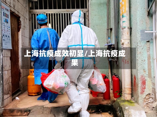 上海抗疫成效初显/上海抗疫成果