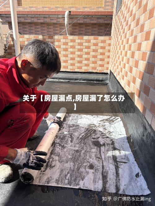 关于【房屋漏点,房屋漏了怎么办】