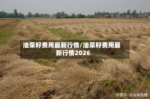 油菜籽费用最新行情/油菜籽费用最新行情2026