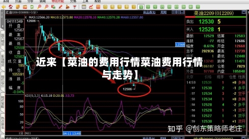 近来【菜油的费用行情菜油费用行情与走势】-第3张图片
