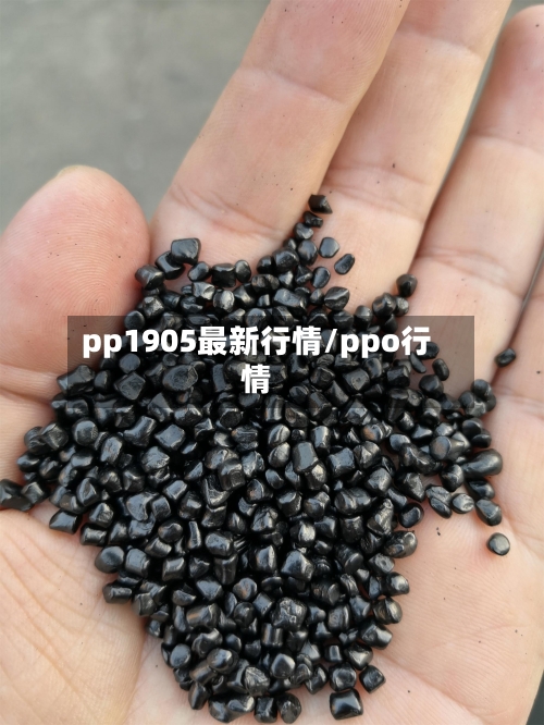 pp1905最新行情/ppo行情-第2张图片