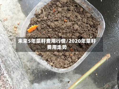 未来5年菜籽费用行情/2020年菜籽费用走势