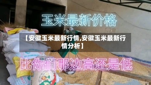 【安徽玉米最新行情,安徽玉米最新行情分析】-第3张图片