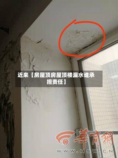 近来【房屋顶房屋顶楼漏水谁承担责任】-第3张图片