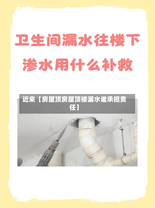 近来【房屋顶房屋顶楼漏水谁承担责任】-第2张图片