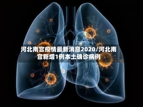 河北南宫疫情最新消息2020/河北南宫新增1例本土确诊病例-第3张图片