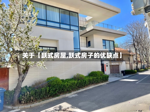 关于【跃式房屋,跃式房子的优缺点】-第2张图片